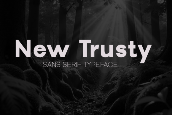 New Trusty: The Modern Sans Serif Typeface for Editorial Design